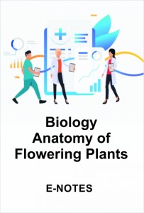 Biology_Anatomy of Flowering Plants
