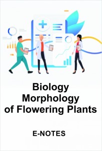 Biology_Morphology of Flowering Plants