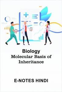 Hindi_Molecular Basis of Inheritance
